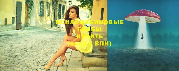 экстази Белокуриха