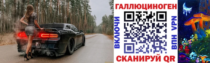 Купить где  Нея  Псилоцибиновые грибы Cubensis 
